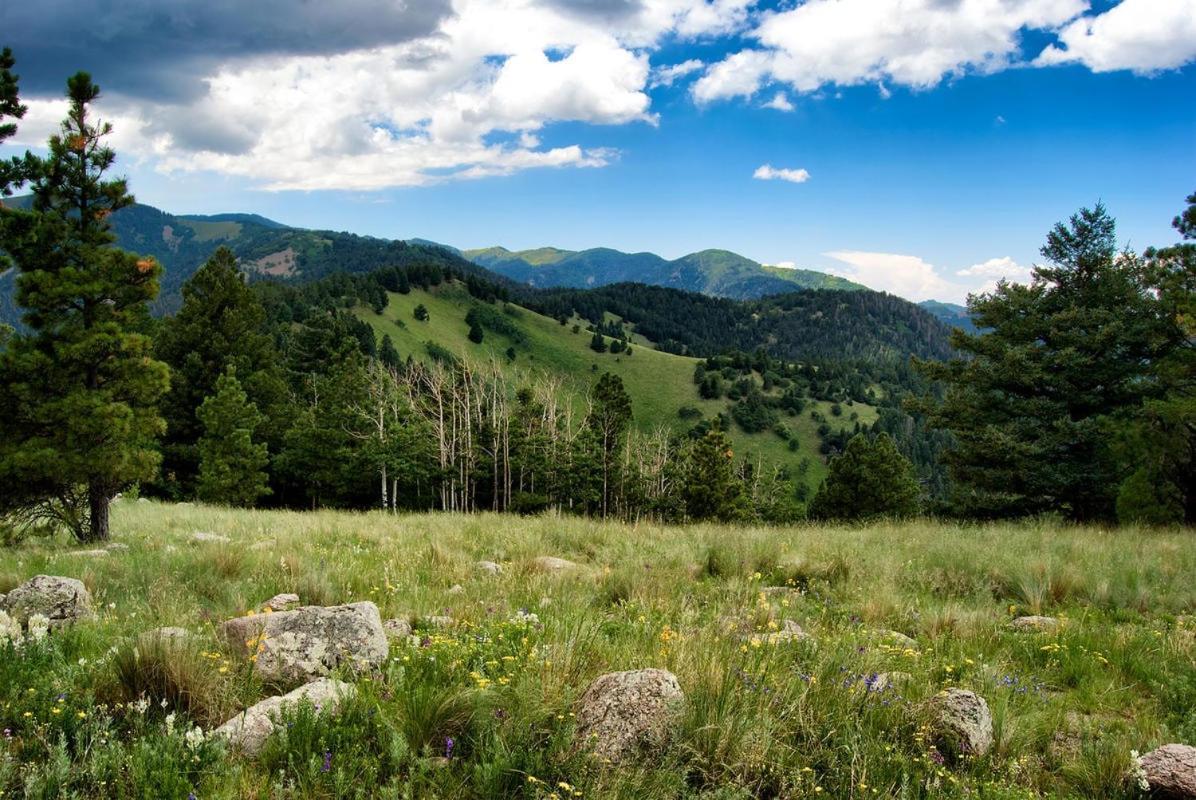 Cozy Cabin, 2 Bedrooms, Fireplace, Midtown, Sleeps 5 Ruidoso Exterior foto